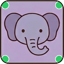 ゾウ